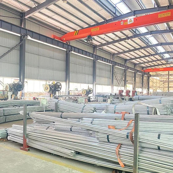 Cina Sichuan Xinglong Excellence Development Science and Technology Co., Ltd. Profil Perusahaan