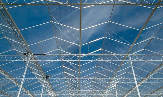 Rumah Kaca Transparan dengan Pipa Aluminium Zinc Plating