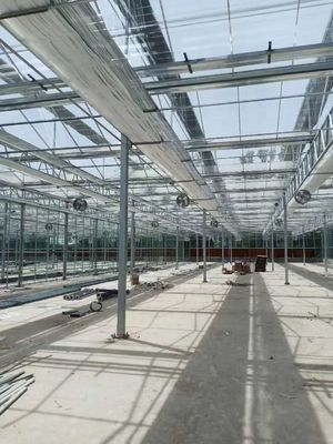 Rumah kaca persegi panjang modern dengan daya tahan dan perlindungan UV