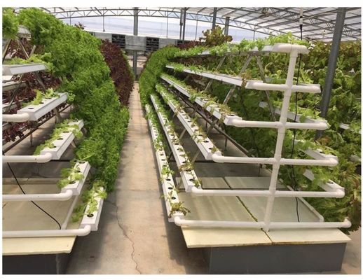 Sistem hidroponik LED dengan penyiraman otomatis Rockwool Grow Medium Kontrol pH manual